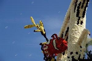 1_corso 2010 082